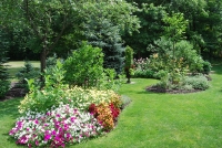 Jakie są najważniejsze kryteria i wytyczne dla projektowania ogrodów?